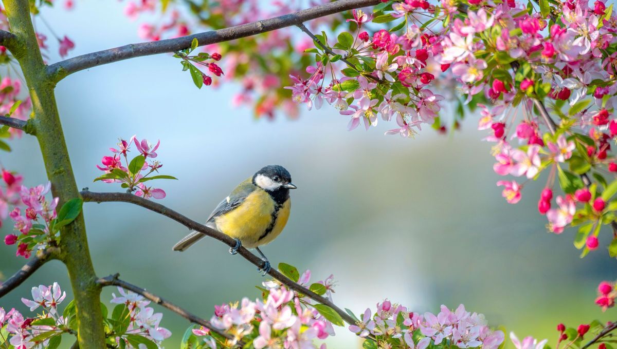 Uzerche, la perle du Limousin